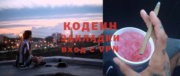 прущие грибы Аркадак