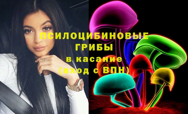 крисы Арсеньев