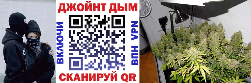 shop Telegram  Кунгур  МАРИХУАНА ГИДРОПОН 